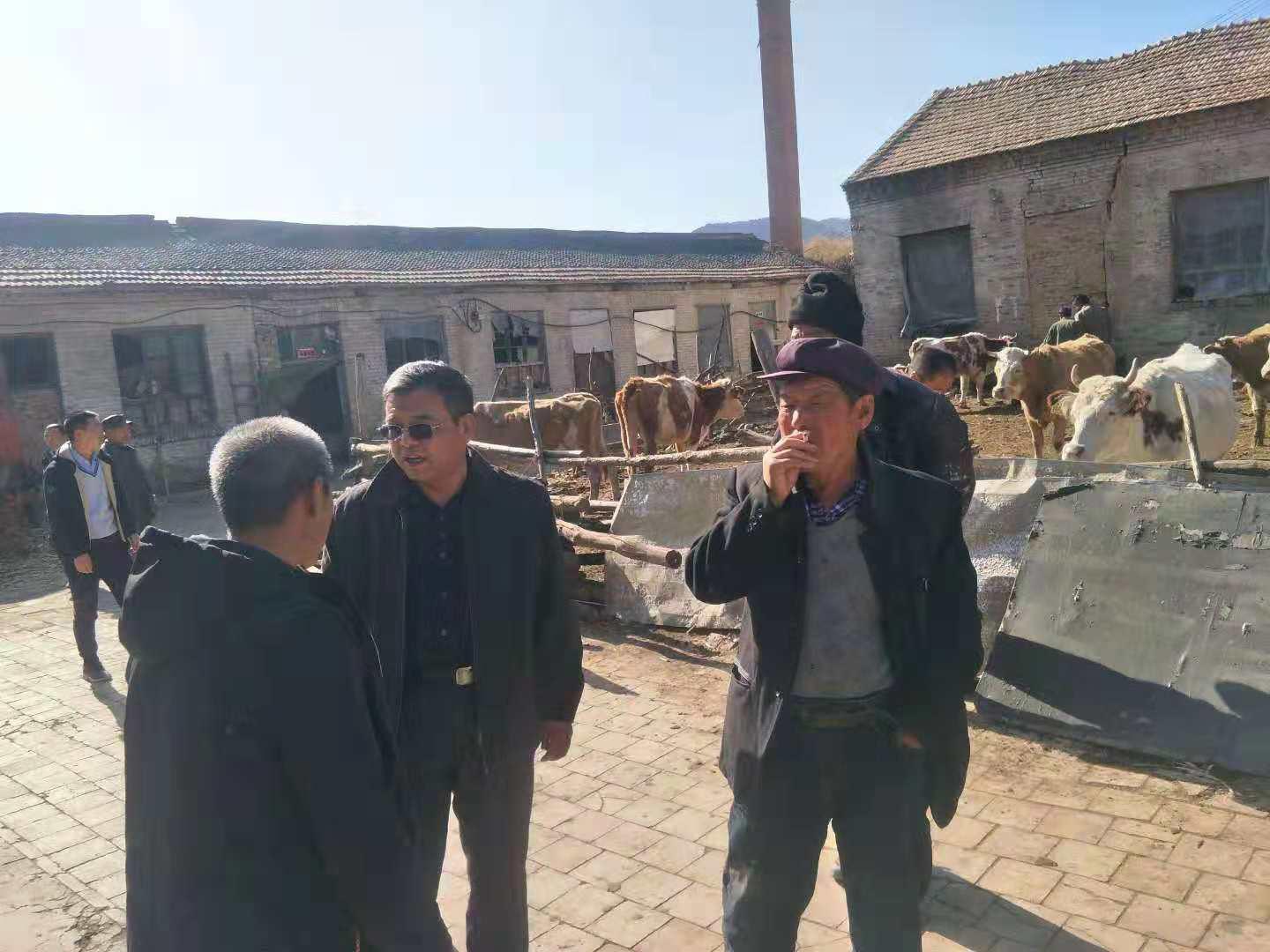 Z6尊龙·凯时(中国)-官方网站
